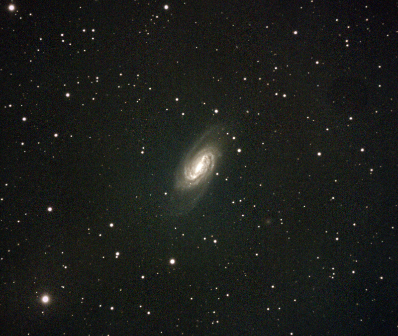 しし座　NGC2903