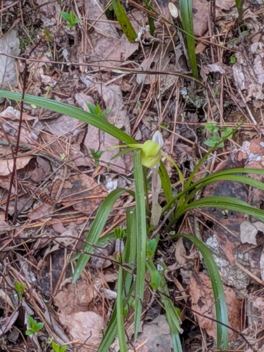 画像の説明 画像の説明